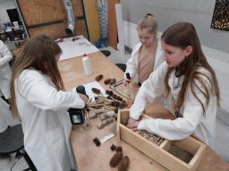 3d46461e-1390-49e8-b72d-4c18e6d2a82d